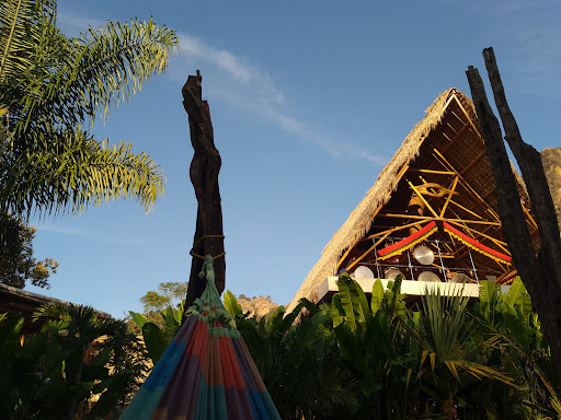 Amate Camp - Visual