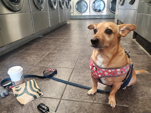 Spin Spa Coin Laundry - Thumbnail