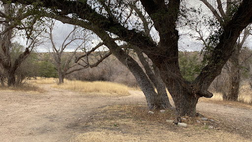 Sycamore Canyon - Thumbnail