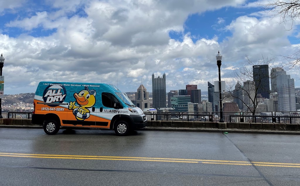 All Dry Services of South Hills Pittsburgh photo