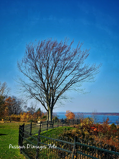 Parc détente - Visual
