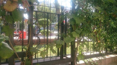 Photos of 12 Martyrs' Park
