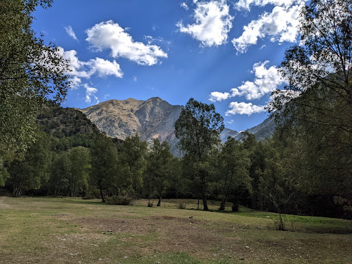 Certascan - Visual