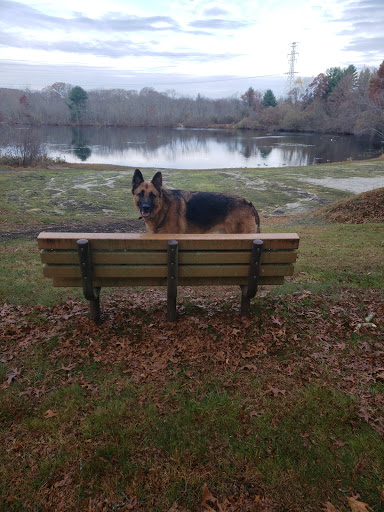 Paw Dog Park - Thumbnail