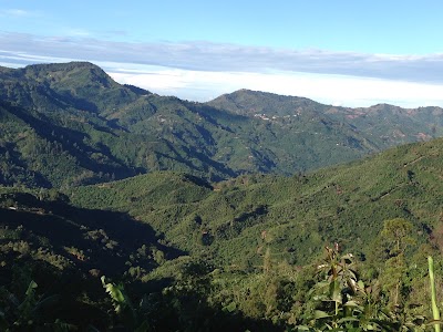 Photos of Penas Blancas Shuttle Service