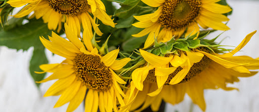 Schnucks Grandview Floral - Thumbnail