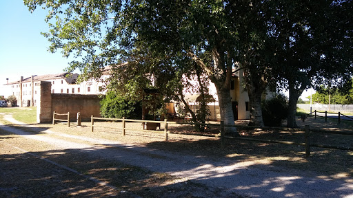 Museo della Corte - Visual
