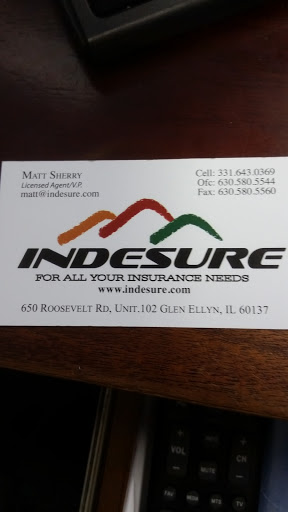 Indesure - Visual