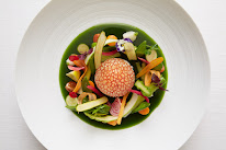 Aji Groupe - Agence Communication E-Commerce Référencement à Riquewihr