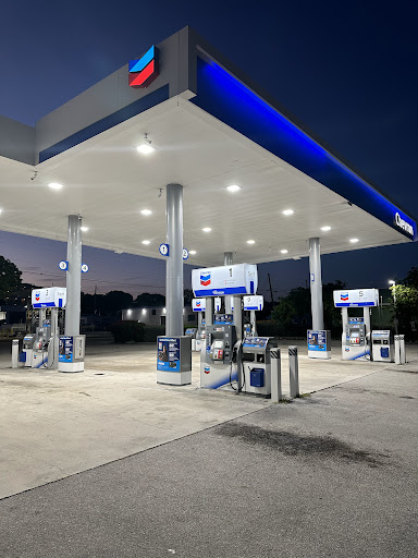 Chevron Tavernier - Visual