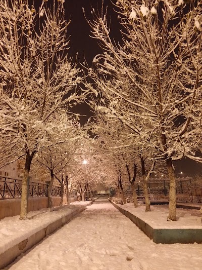 Photos of jardin