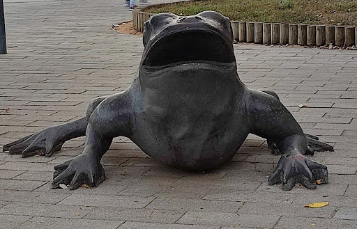 Parc Central de Rafael Masó i Valentí