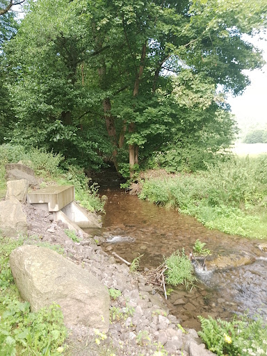 Thüringen anders - Visual