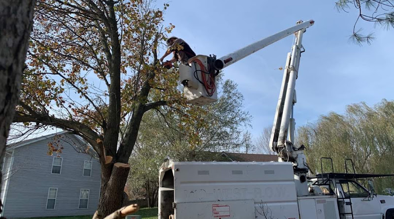 Tinsley's Tree Service LLC