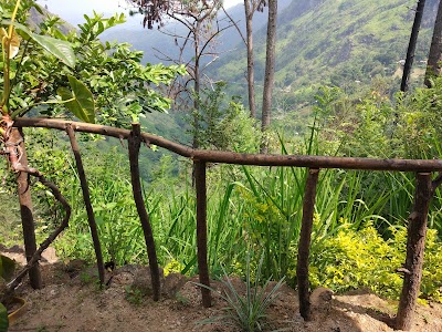Photos of Dream view