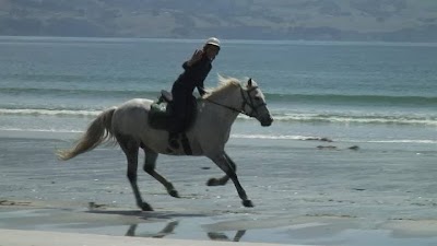 Photos of Hare Hill Horse Treks
