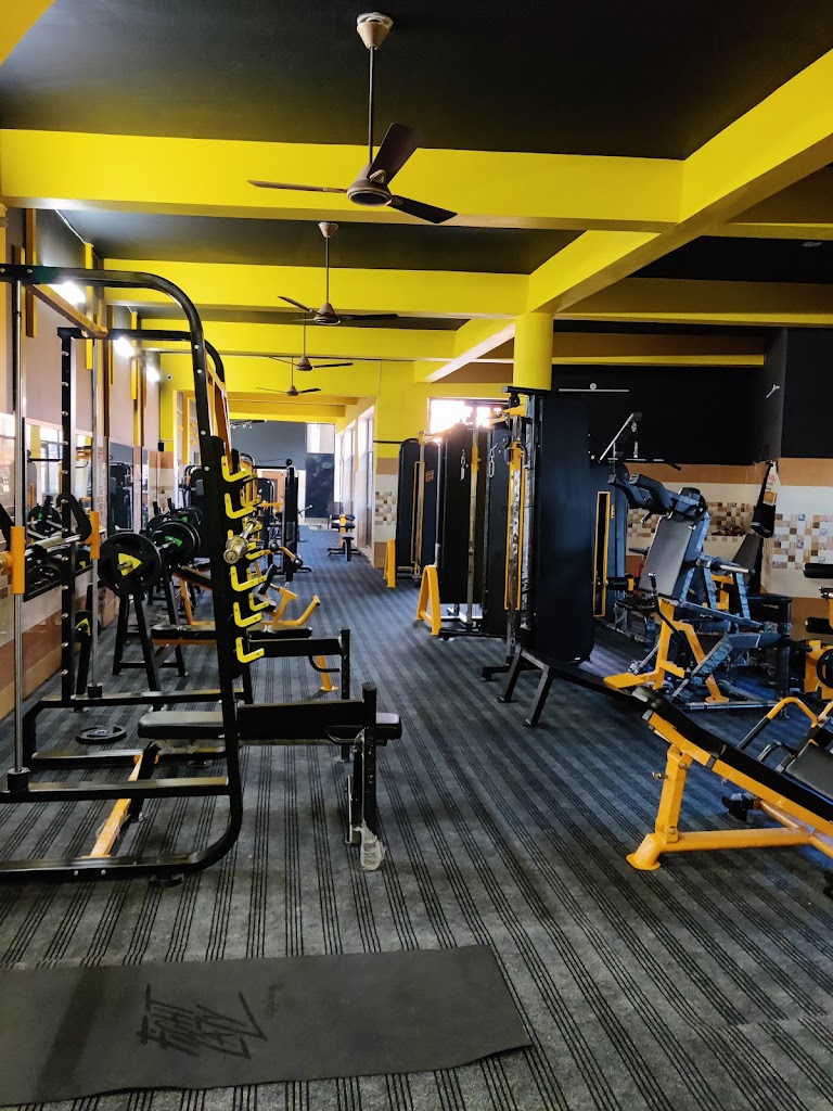 The Workout Zone Gym Afzalgarh