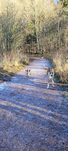 Queens Wood Dymock Carpark