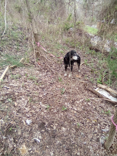 West Virginia Civil War Trails: Attacking Fairmont