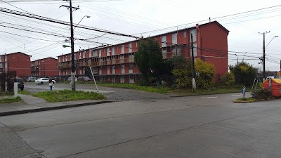 Photos of Las Camelias / Crucero
