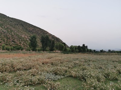 بین یامین غر