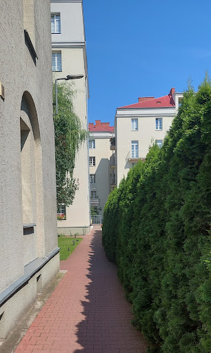 Justyna Goszczyńska-Prokopowicz psycholog, diagnosta, certyfikowany terapeuta TSR