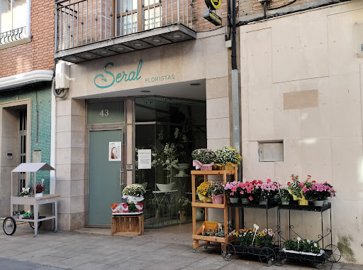 Seral Floristas