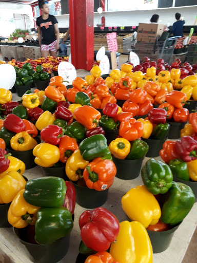 Fresh crop - Visual