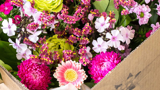 Bloombox