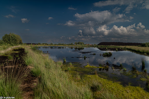 Dümmer Nature Park