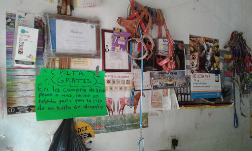Veterinaria el Becerro de Oro - Thumbnail