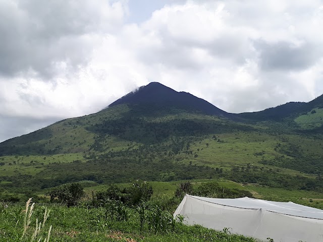Pacaya