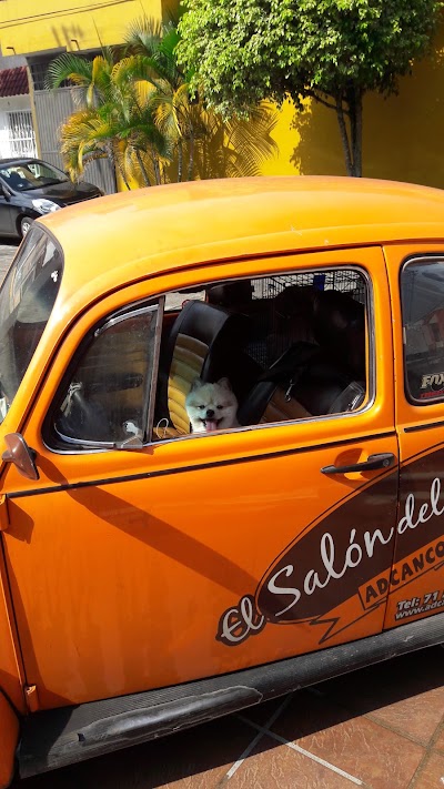 Photos of El Salon del Perro