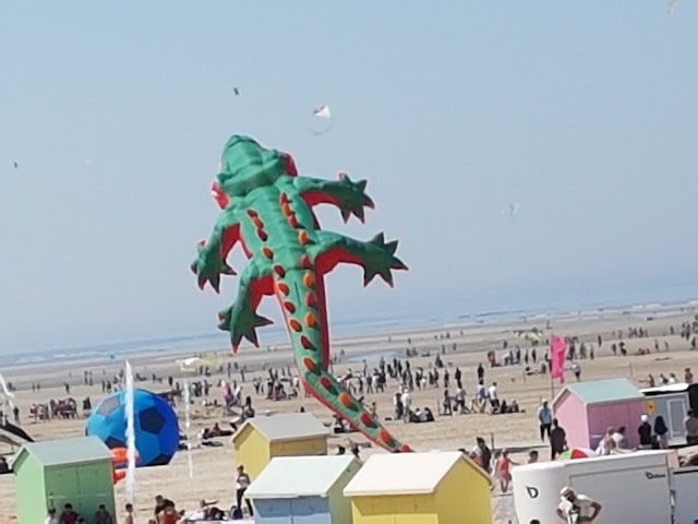 Plage de Berck sur Mer