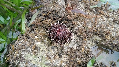 Photos of Moyo Dive Center