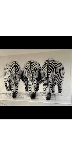 Holifield Decorators LTD - Visual