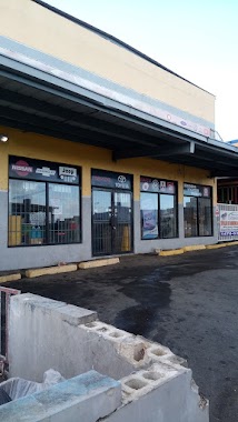 Economic Auto Parts, Author: Leila Rosario