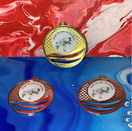 Photo n°10 de ALP Créations à Saint-Germain-lès-Corbeil (Magasin de trophées)