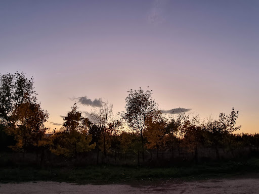 San Isidro "El Coto" Park - Thumbnail