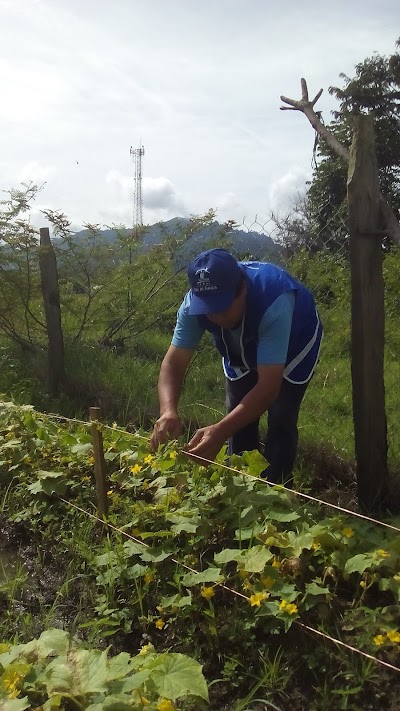 Photos of Tabacos de Danli S.A. de C.V.