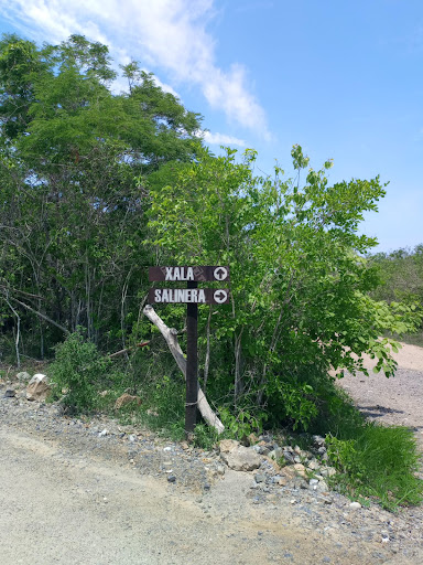 Rancho Prieto Azabache - Thumbnail