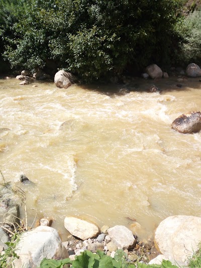 Photos of area verde parque