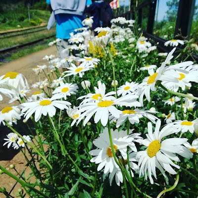 train-station