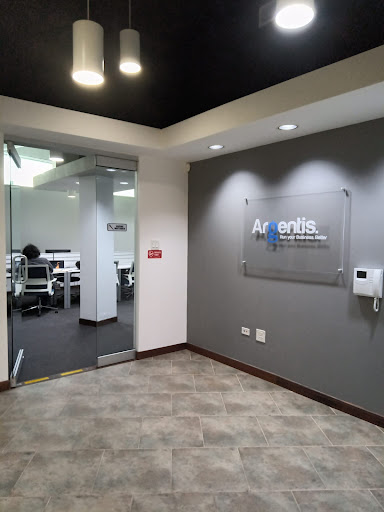 ARGENTIS CONSULTING