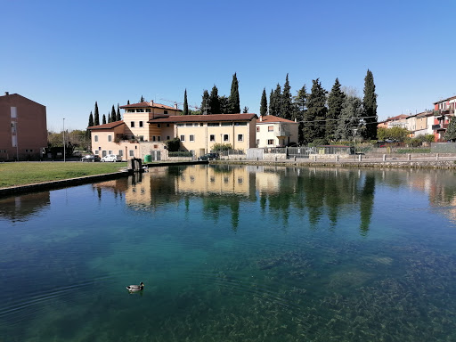 Fontanon