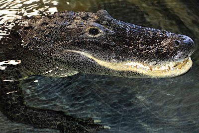 Riverside Reptiles Education Center