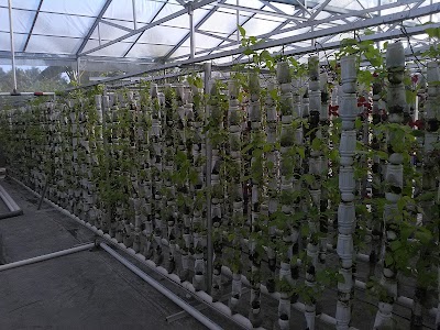 Photos of Rumah Hijau Hydrofarm