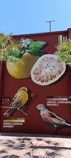 Palmera - Visual