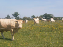 GAEC ORSAY à Villaines-la-Juhel