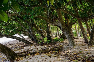 Photos of Taveuni Island